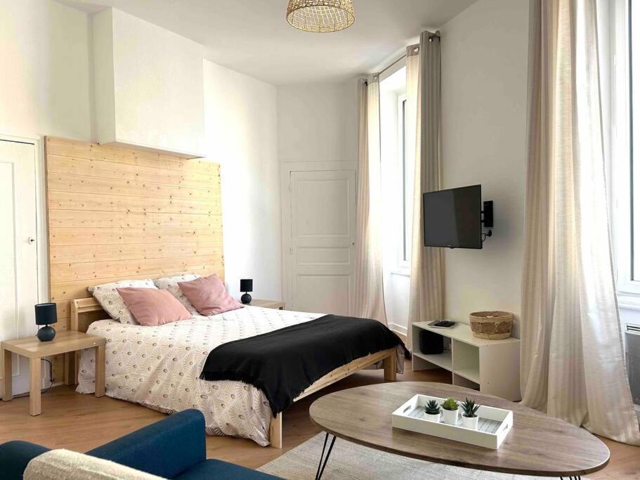 Studio Le «Victor Hugo» , Hyper Centre Ville Vienne  Bagian luar foto